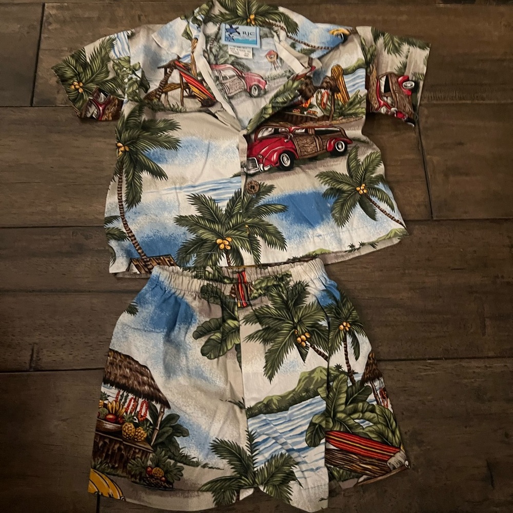 Hawaiian shirt and short set (6M)